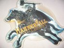 HAMMERFALL ALWAYS WILL BE SHAPE PICTURE 7