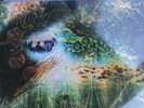 Pink Floyd Saucerful Of Secrets Record Store Day Rsd 2019 In Hand