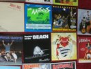 Guana Batz, Batmobile, Demented Are Go, Nekromantix etc. 13 LP´s