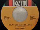 JESSE JAMES - SOUTH 'S GONNA RISE AGAIN / RED HOT ROCKIN BLUES