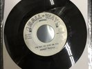 Johnny Preston Willie And The Hand Jive/I’ve Got My Eyes On You 45rpm DJ Samples