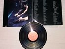 Lp Siouxsie And The Banshees ?– The Scream (1978) Print USA Goldisc pressing
