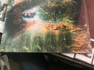 PINK FLOYD A SAUCERFUL OF SECRETS RECORD STORE DAY VINYL LP Rsd 2019 Mono Rare
