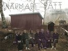 Den Svenska Bj�rnstammen - Ett Fel N�rmare R�tt [VINYL]