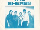 The Sherbs aka Sherbet - Don't Throw it all Away blue vinyl 7