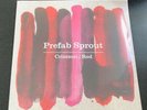 Prefab Sprout 