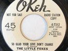 Little Foxes 