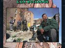 ED O.G. & DA BULLDOGS 