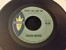 Check-Mates   What You Do / Shoo-Be Shoo-Be Do 1962  45 RPM very rare doo wop