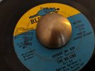 Northern Soul 45 - The Ad Libs - Johnny My Boy - BLUE CAT - Original