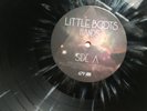 LITTLE BOOTS - HANDS * LP PIC DISC VINYL * FREE P&P UK * ATLANTIC 2564689052 LTD