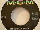 the velours - i'm gonna change / don't pity me - northern soul