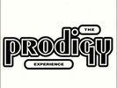 Prodigy, The - Experience [VINYL]