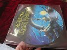 iron maiden 33 t PICTURE DISC fear of the dark