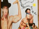 Red Hot Chili Peppers - Taste The Pain. 7