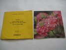 ABBA ‎– Gimme  Gimme  Gimme  (A Man After Midnight) 7'' POLISH Flexi Card Backed