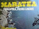 I SOLARIUM RARE BAND OBSCURE POP-PROG 7