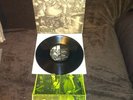LP Punk Sewer Trout - Flawless 10