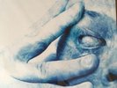 porcupine tree ( Steven Wilson )- In Absentia (White Vinyl). New & Sealed