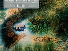 Pink Floyd - A Saucerful Of Secrets 1 x 180g Mono Black Vinyl LP RSD 2019