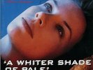 Annie Lennox A Whiter Shade Of Pale / No More 