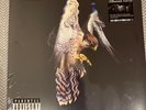 THE COURTEENERS - FALCON 12