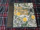 The Stone Roses Debut on DBL Vinyl