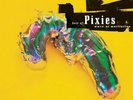 Pixies - Wave Of Mutilation ORANGE COLOURED vinyl LP NEW/SEALED IN STOCK Best Of