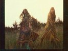 First Aid Kit - The Lion's Roar Vinyl LP NEU 0550681