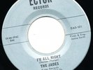 THE JADES I'm All Right ECTOR DAS101 45 Vinyl FORT WORTH Garage Rock BOUQUET