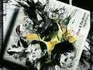 Fiva MC & DJ Radrum - Kopfhörer Vinyl 2LP 0952821 Blumentopf Limited Edition