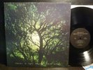 Nancy Griffith - There's A Light Beyond These Woods, BFD 9, VG++/VG++, 1978