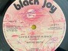 WAYNE SMITH - LIFE IS A MOMENT IN SPACE - BLACK JOY ( ROOTS 12 )