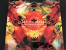 Band of Skulls baby darling doll face honey US NO BARCODE 2009 LP w/poster EX