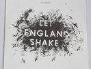 P J HARVEY-LET ENGLAND SHAKE-IMPORT ISLAND RECORDS 2758997-SEALED-LP
