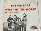 Garage Rock Grail 45 THE VECTORS what in the world ST LAWRENCE picture sleeve