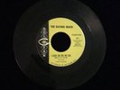 Garage Psych 45 RAVING MADD I Said Oh No No No GOLSTAR VG+ promo