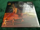SAY SUE ME - BIG SUMMER NIGHT : RSD 2019 NEW SEALED VINYL LP
