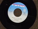 northern soul RADIANTS I'm Glad I'm the Loser CHESS 2037 M-