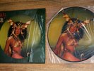 Cher Take Me Home 1979 Original PICTURE DISC LP Vinyl