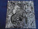 ARZACHEL PSYCH-PROG Evolution MONSTER LP 1969 Steve Hillage