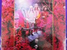 CAPTAIN BEEFHEART Grow Fins Vol II Trout Mask House Sessions 2LP XERIC SEALED