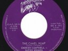 Canada Soul Funk Inst  45 - CHOKER CAMPBELL & SUPER SOUNDS - The Camel Hump