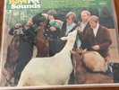 The Beach Boys - Pet Sounds LP - Duophonic For stereo DT 2458 1966