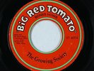 Garage Psych Fuzz 45 - Growing Society - Big Red Tomato - Mr. Bones Music - mp3