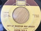Marvin Gaye Tammi Terrell Aint No Mountain High Enough Tamla Northern Soul Motow