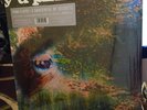 Pink Floyd LP A Saucerful Of Secrets Mono RSD in Shrink w/Hype Sticker Beautiful