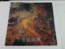 The God Machine Promo lp Scenes From the Second Storey Double UK Promo