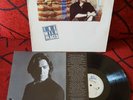 DAN FOGELBERG *** The Wild Places *** SCARCE 1990 Spain PROMO LP w/ Insert