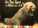 The Cure 